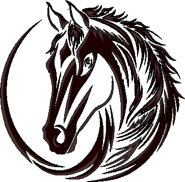 Caballos para disfrutar